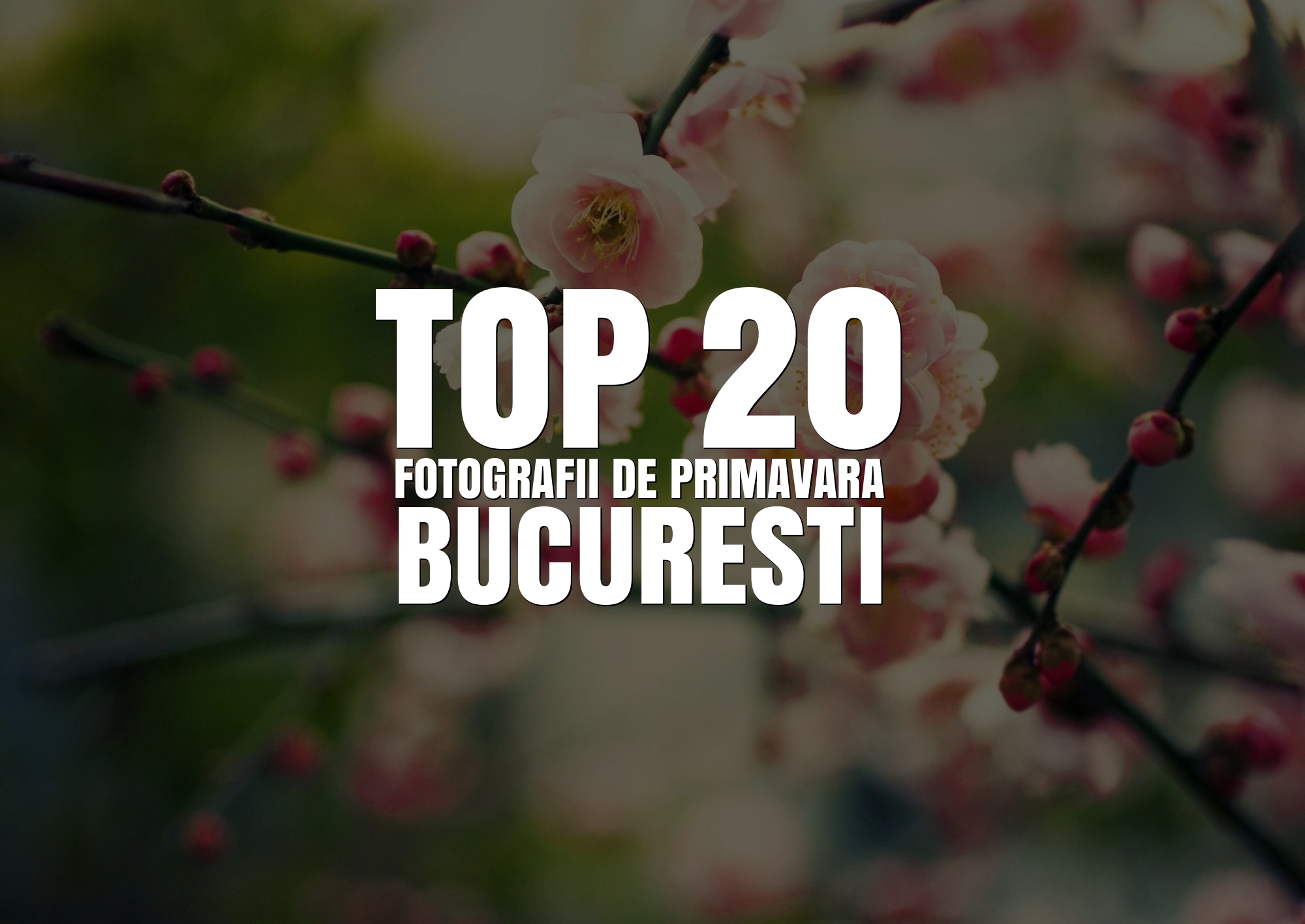 TOP 20 Fotografii de primavara din Bucuresti