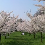 Gradina Japoneza - Bucuresti