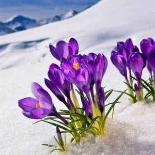 De ce lunii februarie i se mai spune și ,,Făurar''?