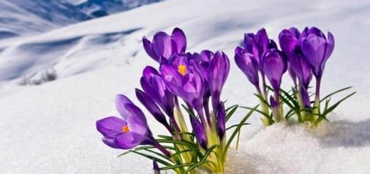 De ce lunii februarie i se mai spune și ,,Făurar''?