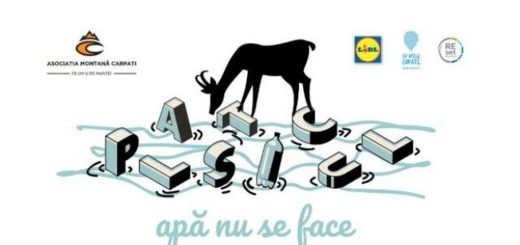 Asociația Montană Carpați lansează un nou proiect.