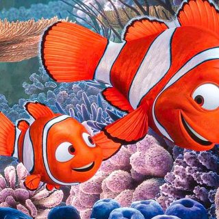 Povestea dramatică din spatele filmului animat ,,În căutarea lui Nemo''.