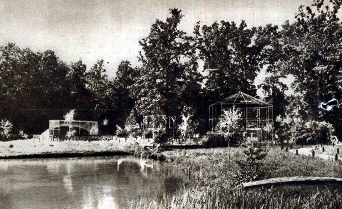 Detalii despre prima Grădină Zoo din România.