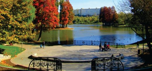 Manifestație pentru Parcul IOR.