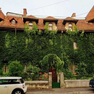 Detalii despre Cartierul Cotroceni.