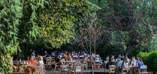 Eveniment de primăvară: picnic în Grădina Floreasca.