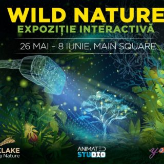 Expoziție specială la Parklake.
