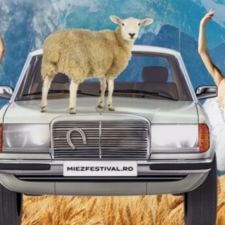Miez festival a doua ediție.
