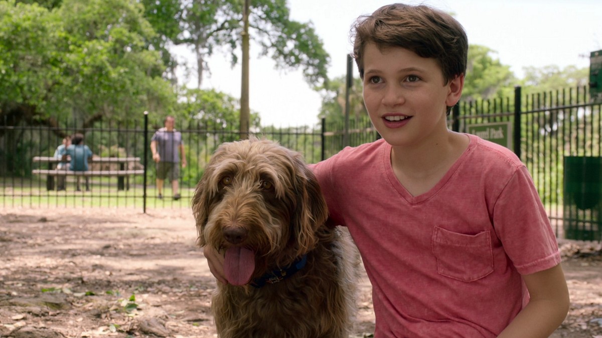 Program Pro TV pentru finalul de săptămână.