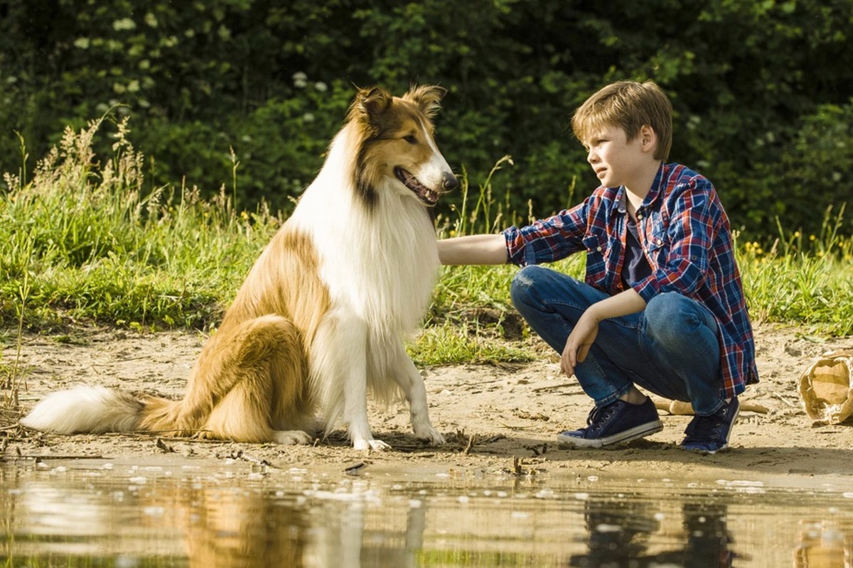 Seriale pentru toată familia.