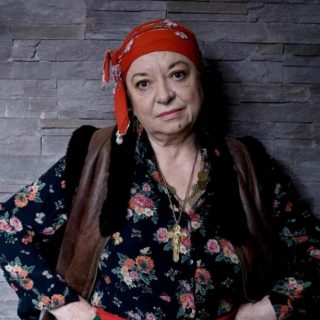 Virginia Rogin face parte din distribuția serialului ,Camera 609'