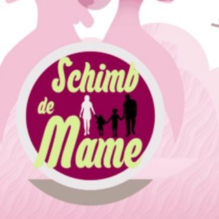 Formatul original din spatele emisiunii ,Schimb de mame'.