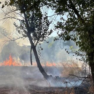 Incendiu Parc IOR din București. Cine ar fi vinovat?