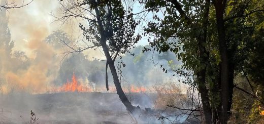 Incendiu Parc IOR din București. Cine ar fi vinovat?