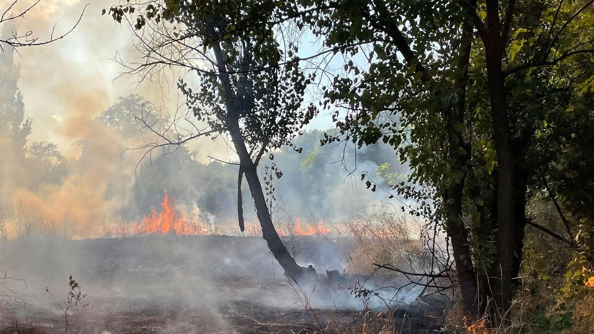 Incendiu Parc IOR din București. Cine ar fi vinovat?