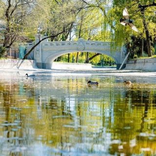Ziua Grădinilor Zoologice și Parcurilor.