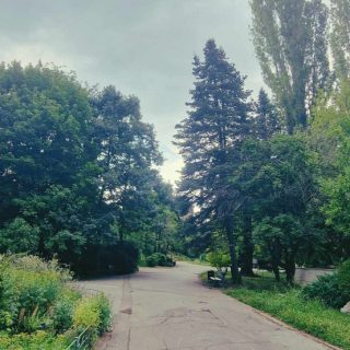 Grădina Botanică din București.