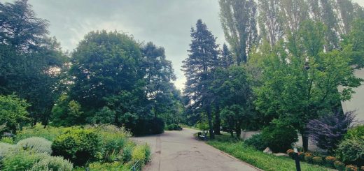 Grădina Botanică din București.