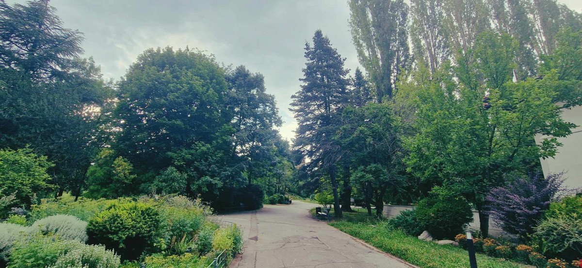 Grădina Botanică din București.