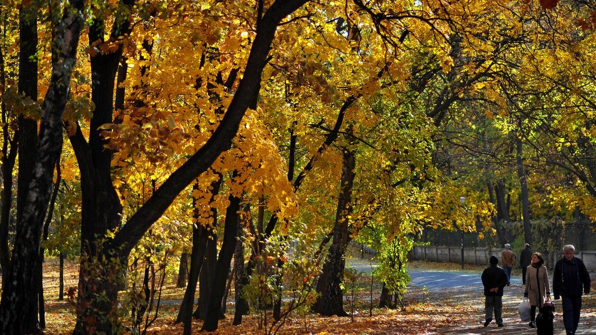 Prognoza meteo pentru București.