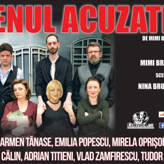 Piesa ,Genul acuzativ' de Mimi Brănescu se joacă astăzi.
