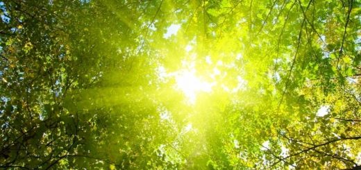Prognoza meteo ANM pentru 22 septembrie: căldura bate din nou la ușă.