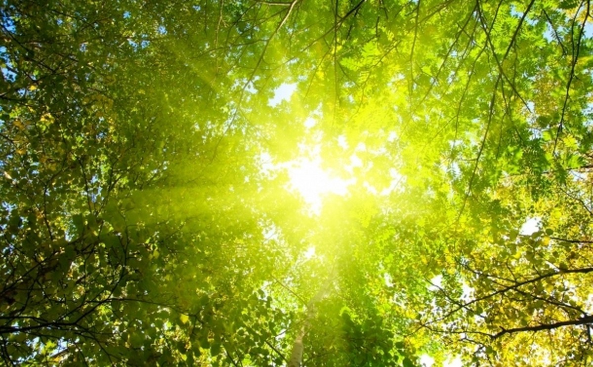 Prognoza meteo ANM pentru 22 septembrie: căldura bate din nou la ușă.