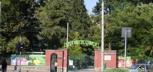 Expoziție la Grădina Botanică din 3 noiembrie.