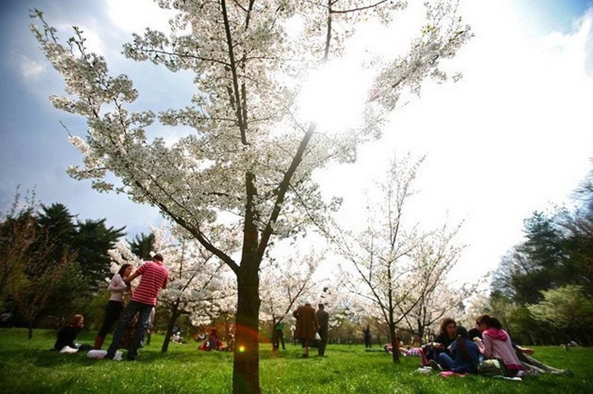 Meteo ANM pentru 6 octombrie.