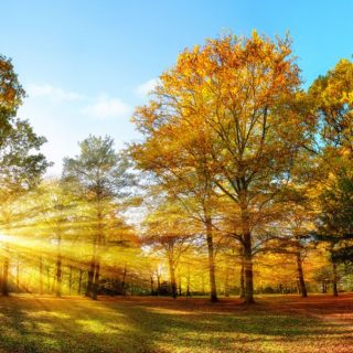Prognoza meteo pentru 8 octombrie: cum va fi vremea în România?