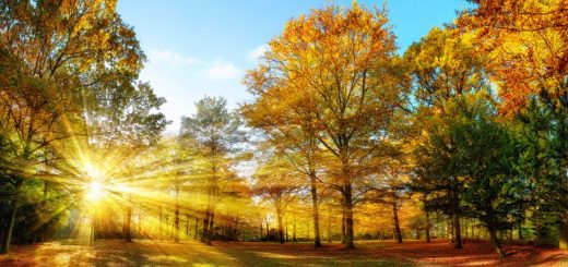 Prognoza meteo pentru 8 octombrie: cum va fi vremea în România?