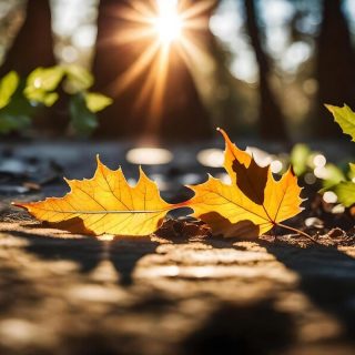 Prognoza meteo pentru 10 octombrie: temperaturile vor scădea semnificativ