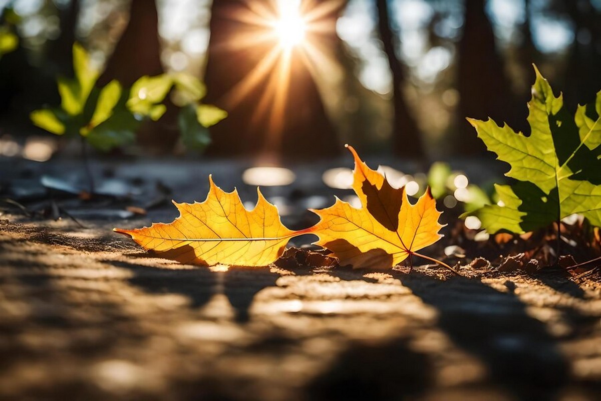 Prognoza meteo pentru 10 octombrie: temperaturile vor scădea semnificativ