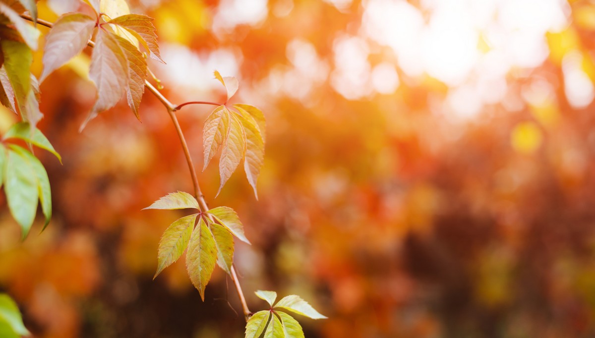 Prognoza meteo pentru 3 octombrie.