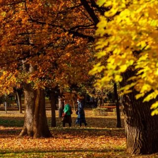 Prognoza meteo pentru 27 octombrie: temperaturile se mențin ridicate