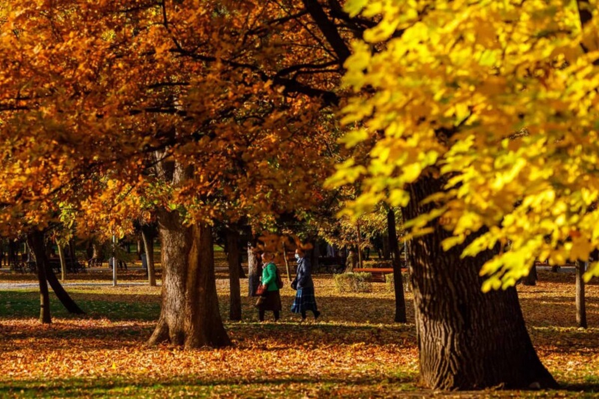 Prognoza meteo pentru 27 octombrie: temperaturile se mențin ridicate