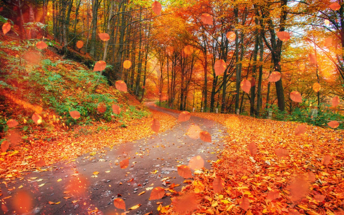 Prognoza meteo pentru 25 octombrie.