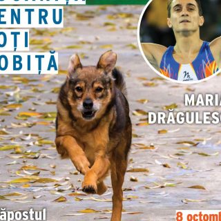 Marian Drăgulescu gătește o masă caldă pentru 500 de câini din Adăpostul Speranța: evenimentul are loc pe 8 octombrie