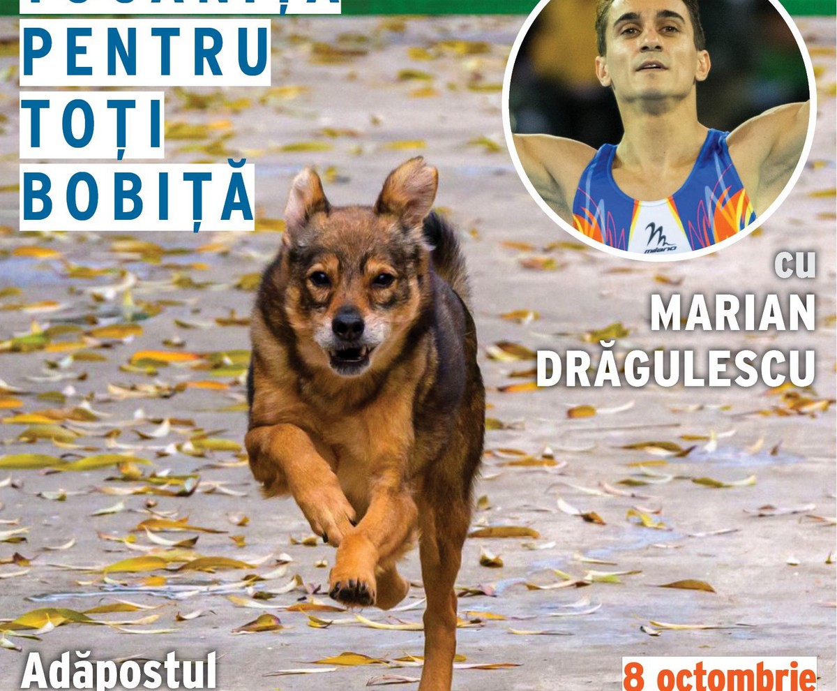 Marian Drăgulescu gătește o masă caldă pentru 500 de câini din Adăpostul Speranța: evenimentul are loc pe 8 octombrie