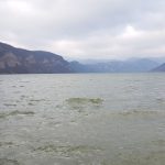 Dunarea